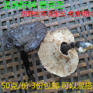 梅州客家 野生 灵芝 黑 赤 梅县蕉岭 袍子粉 兴宁五华平远 50克