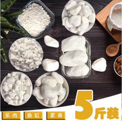 鱼缸底砂白玉白石子彩石园艺用品小石子沙子花盆栽装饰水族箱布景