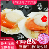 超大鲜活速冻扇贝大号夏夷贝特大冷冻新鲜大扇贝烧烤食材整箱包邮