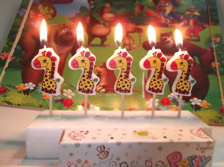 Bougie - Ref 2494151 Image 4