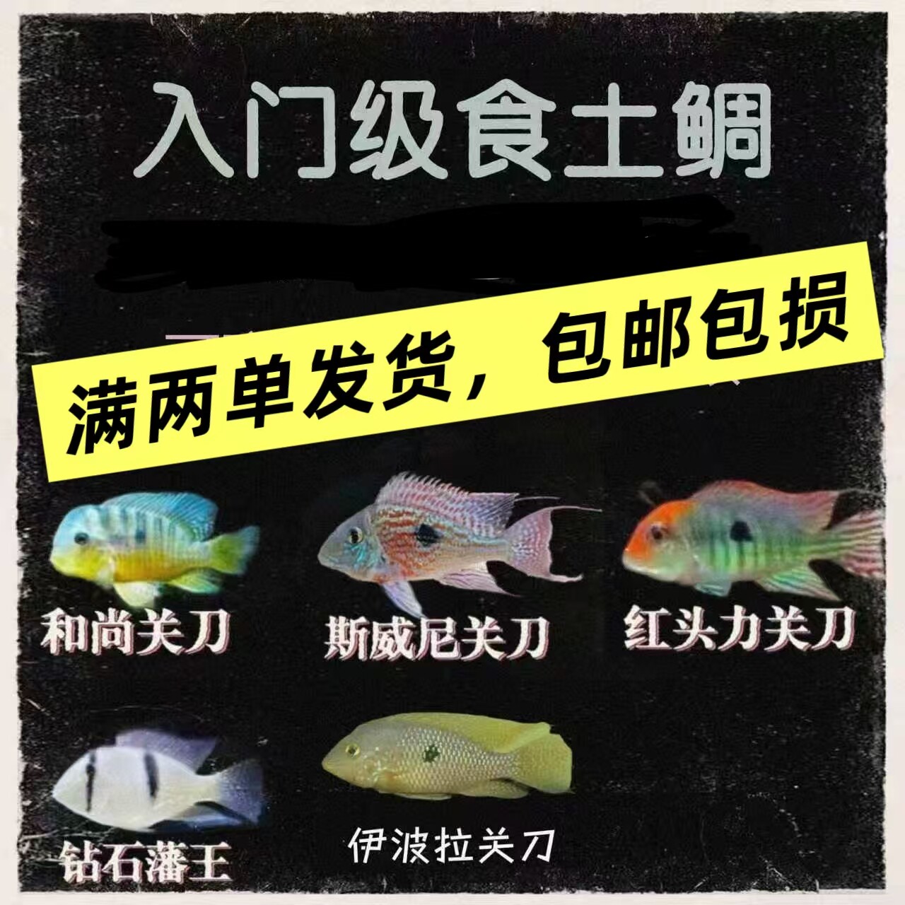 满38元包邮斯维尼红头力和尚血衣紫艳七彩宝石七彩鹅头