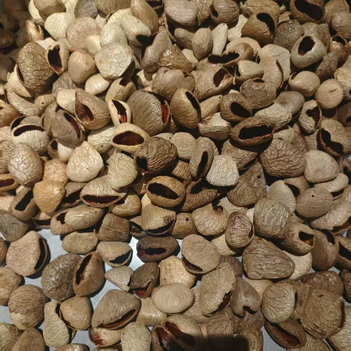 手工果壳diy风铃材料包自制排铃果壳音束制作手摇铃手铃伴奏乐器