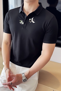 2025夏季新款 英伦休闲刺绣短袖POLO衫男士上衣A431-PL077-P55图片