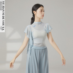半高领夏季 网纱衣现代舞服中国舞古典舞蹈服绝美练功服上衣女 短袖