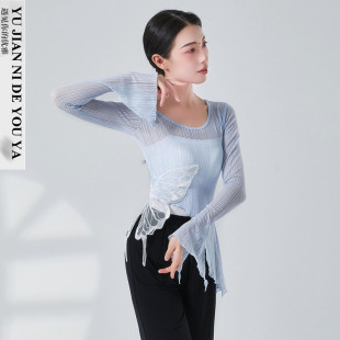 绝美蓝色蝴蝶中国舞古典舞舞蹈服练功服演出服装上衣女飘逸网纱衣