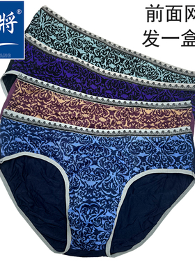 正品健将男士内裤中腰莫代尔棉网纱透气透明薄款夏季男三角裤9580