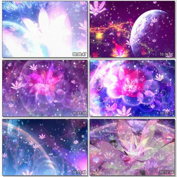 歌曲 落花情 唯美荷花梦幻花朵莲花舞台LED大屏幕背景视?#37011;?#26448;