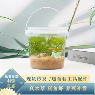 办公桌小鱼缸生态瓶免换水微景观迷你科学作业diy材料小鱼生态缸