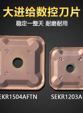涂层龙门铣刀片SEKR1203AFN 1504 SEKN1203AFTN开粗双头铣刀片