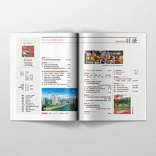 期刊设计/杂志设计/书籍装帧/封面设计