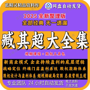 2025臧其超课程全集商业模式 设计资本融资底层逻辑股权激励合伙人