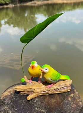 阳台庭院花园爱情鸟装饰造景