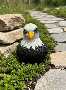 仿真白头海雕摆件写实老鹰头模型工艺品户外花园草坪布置造景装饰