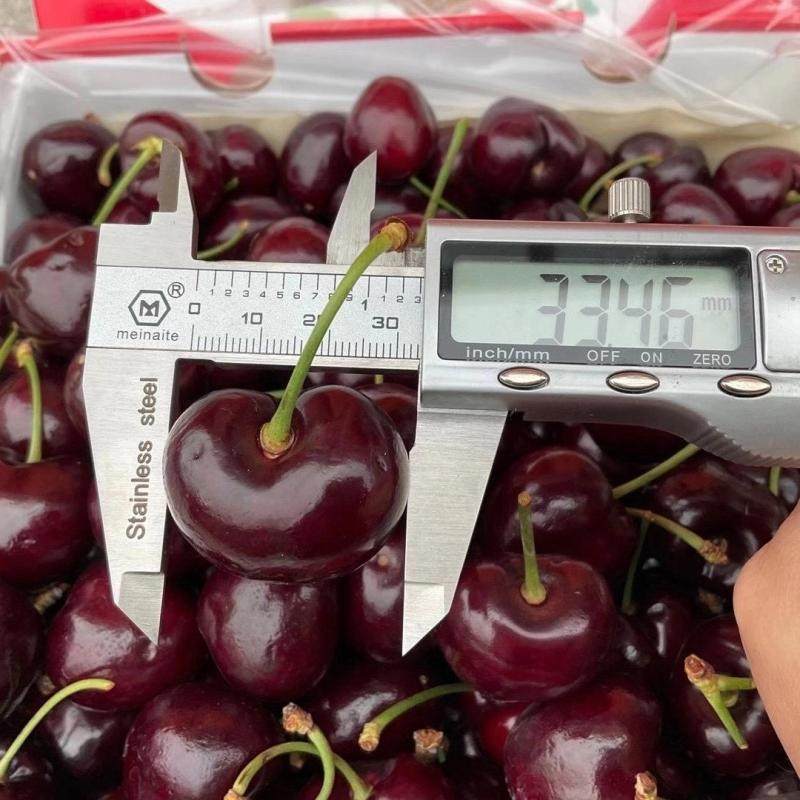 智利进口大樱桃4JJJJ桑提娜车厘子礼盒新鲜水果超大果顺丰包邮,水产肉类/新鲜蔬果/熟食,车厘子/樱桃,淘宝优惠券,粉丝福利购,淘宝优惠卷