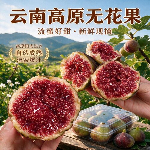 云南格莱斯特树熟软糯无花果