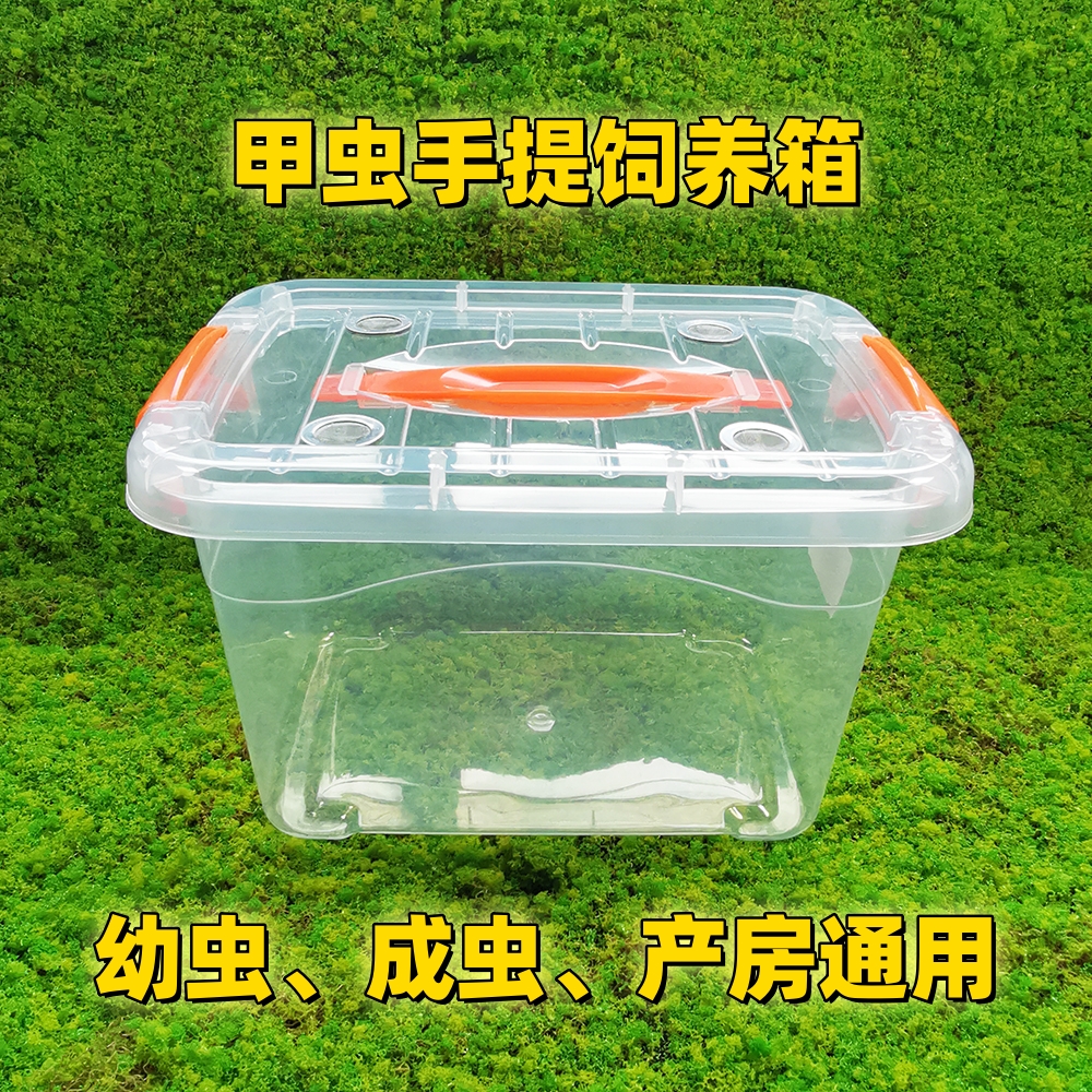 甲虫饲养箱手提成虫幼虫产房通用