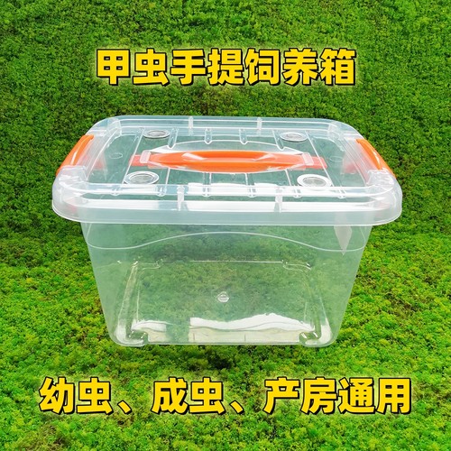 甲虫饲养箱手提成虫幼虫产房通用