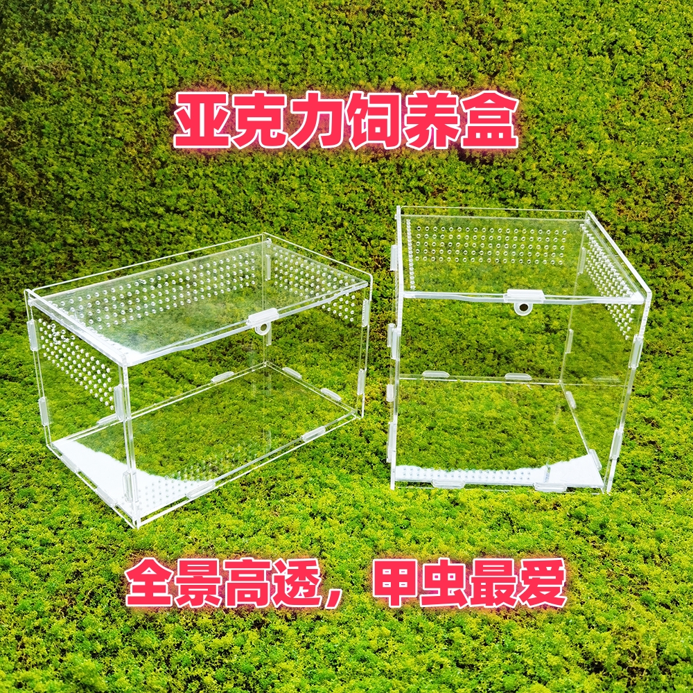 独角仙甲虫饲养盒套装亚克力高透