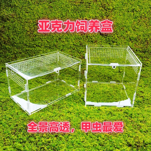 独角仙甲虫饲养盒套装亚克力高透
