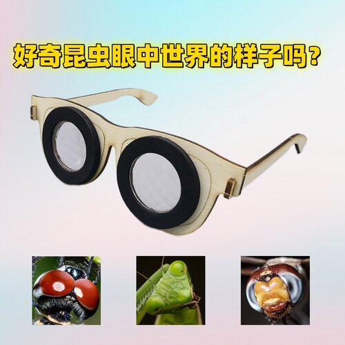 儿童自制diy昆虫复眼眼镜材料表