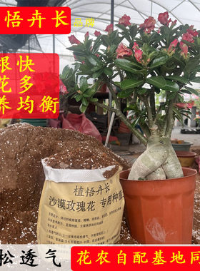 植悟卉长自配介质种植土