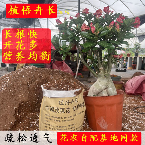 植悟卉长自配介质种植土