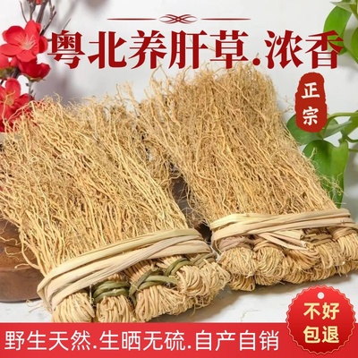 特级纯野生粤北丝线草煲汤养生