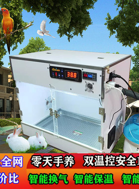 鹦鹉保温箱智能恒温保湿风暖零0天手养大号双温控旋凤牡丹幼鸟PID