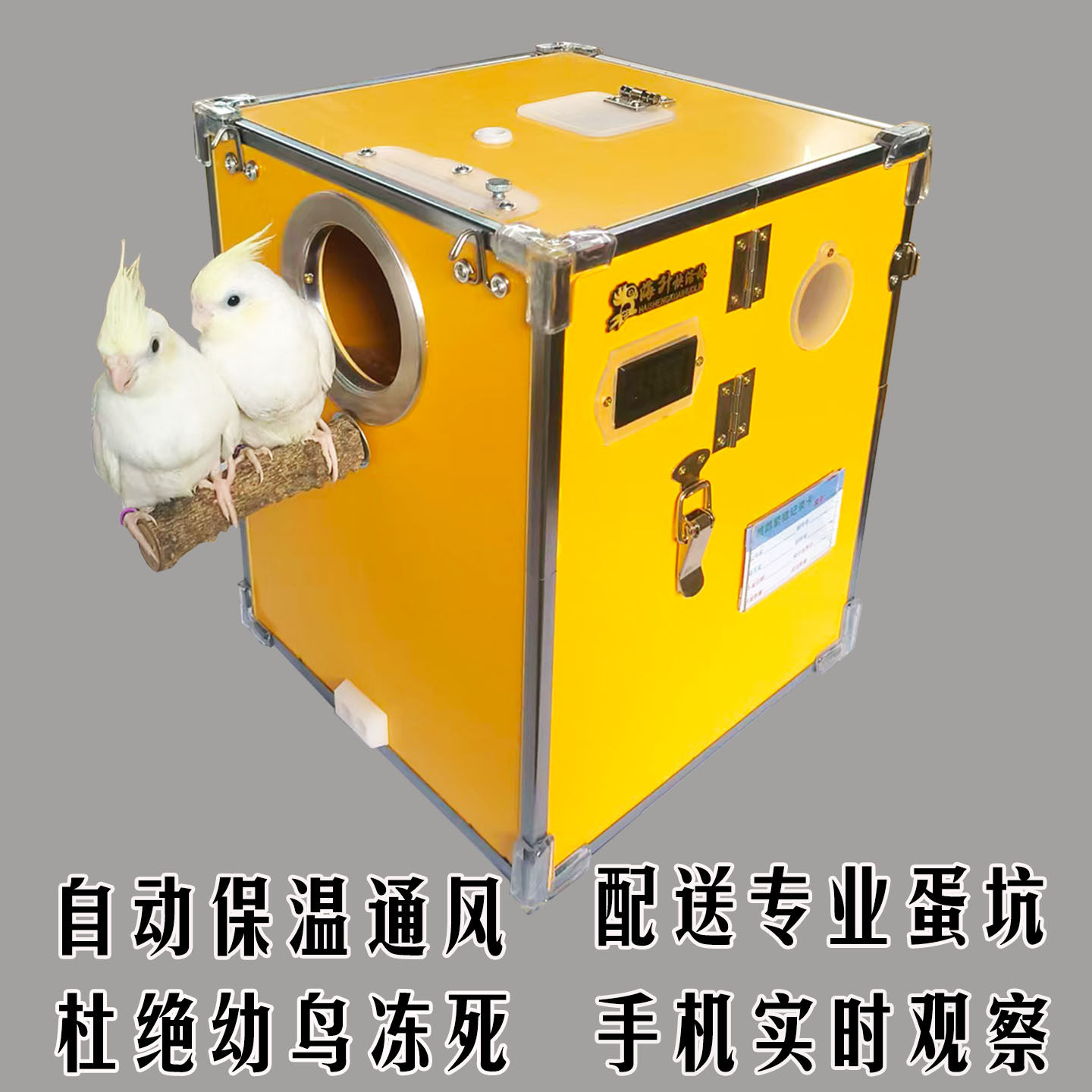 鹦鹉繁殖箱保温鸟窝抗咬立式玄凤小太阳和尚虎皮牡丹加热保暖孵化