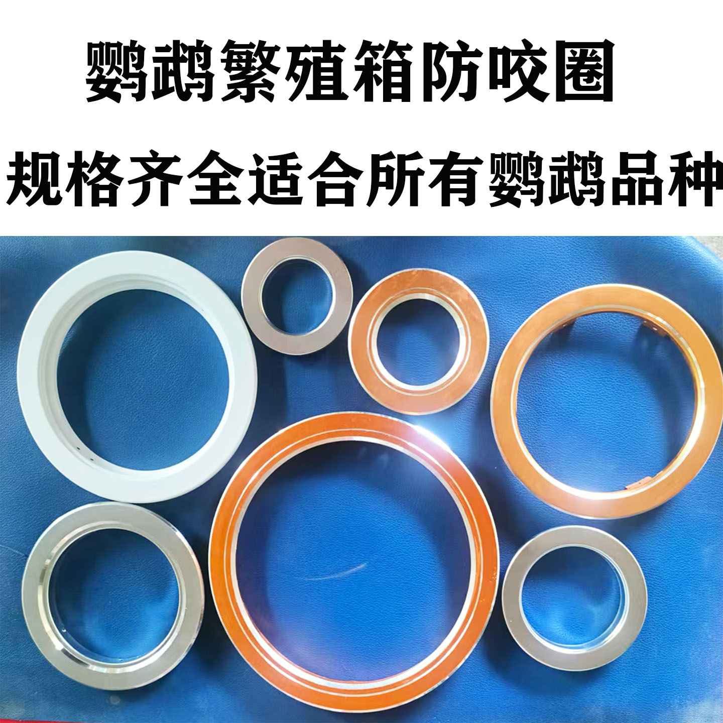 小型鹦鹉防咬圈/繁殖箱防咬圈/中大型鹦鹉防咬圈/松鼠/龙猫窝防咬