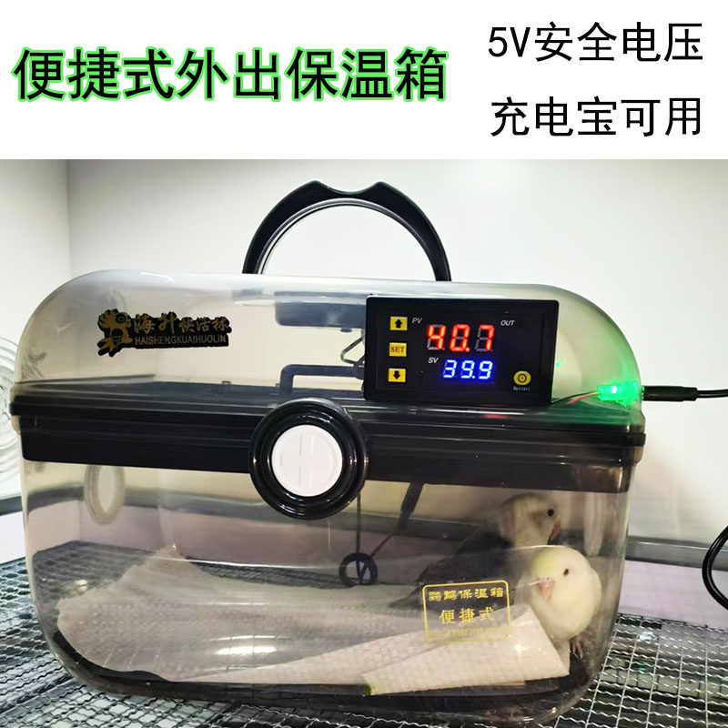 鹦鹉幼鸟手提保温箱方便外出携带鸟用宠物加热加温5V充电宝家可用