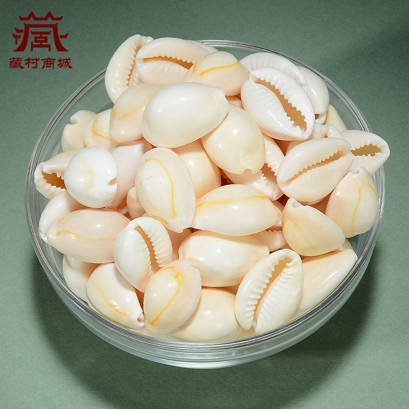 藏村曼扎盘七宝石小海螺藏式七供八供天然贝壳佛塔米盒宝瓶装藏