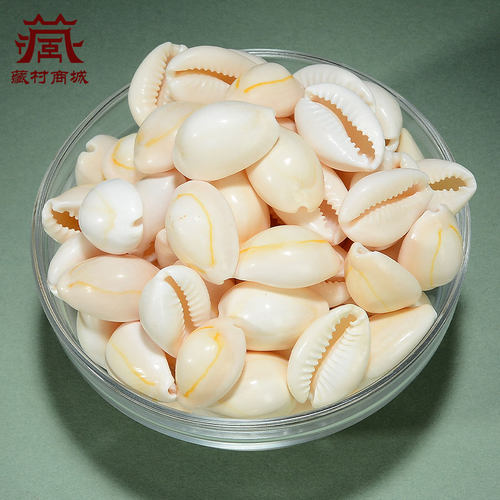 藏村曼扎盘七宝石小海螺藏式七供八供天然贝壳佛塔米盒宝瓶装藏