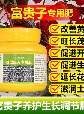 富贵子专用肥料盆栽开花肥富贵籽树土壤朱砂根复合营养液叶面肥料