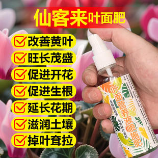 仙客来专用肥料花苗盆栽开花年宵花肥土壤营养液叶面肥水溶化肥料