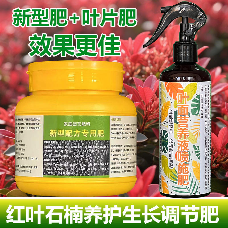 红叶石楠专用肥料红叶石楠大树苗营养液氮磷钾颗粒浓缩有机肥肥料