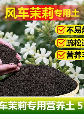 风车茉莉专用土料盆栽爬藤植物营养土卷曲萎缩尖枯焦黄掉种植家用
