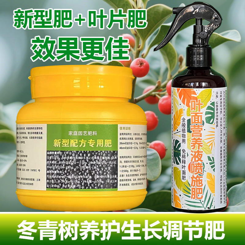 冬青树专用肥北美冬青营养液肥料冻青营养液四季喷叶铁冬青有机肥