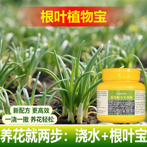 植物巴西铁专用营养液家金心青叶金边盆栽绿植开花长新叶面肥料