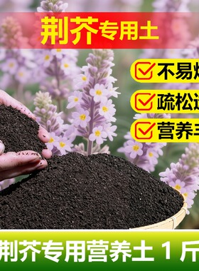 荆芥专用土料土种植盆栽营养土安全绿色有机配方施肥即食种植家用