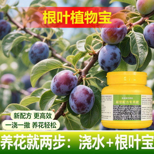 植物专用肥料养殖种植花肥盆栽专用土营养液发芽开花肥叶面肥料