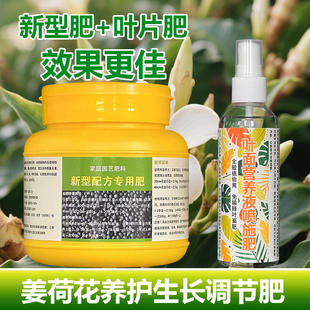 姜荷花专用肥料盆栽种球花肥种植土壤复合营养液叶面肥水溶化肥料