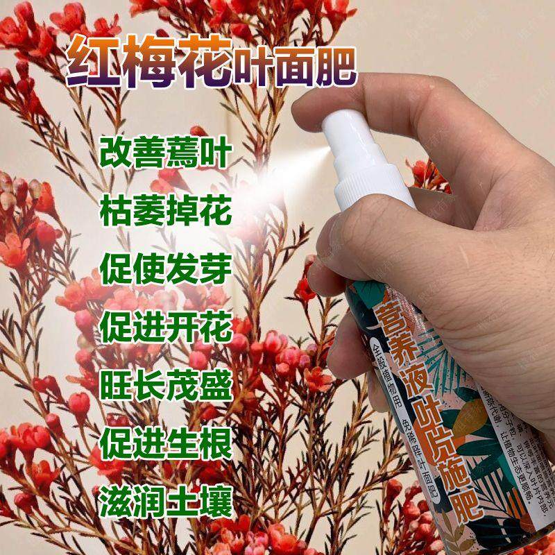 红梅专用肥料营养液枯萎叶子发蔫红腊梅花肥促使发芽开花爆发肥料,鲜花速递/花卉仿真/绿植园艺,家庭园艺肥料,淘宝优惠券,粉丝福利购,淘宝优惠卷