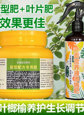 小叶榔榆专用肥料树苗盆景土壤营养液发黄卷缩萎蔫干枯掉叶面肥料