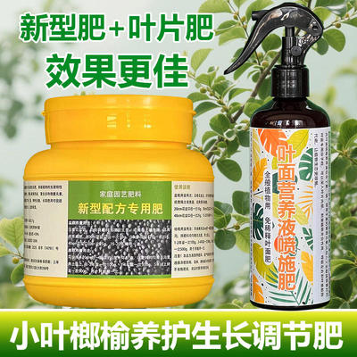 小叶榔榆专用肥料树苗盆景土壤营养液发黄卷缩萎蔫干枯掉叶面肥料