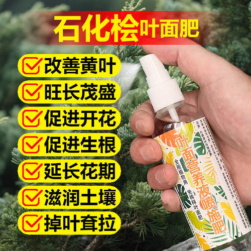 石化桧专用肥料小苗盆景老桩营养液叶面肥氮磷钾有机肥水溶化肥料
