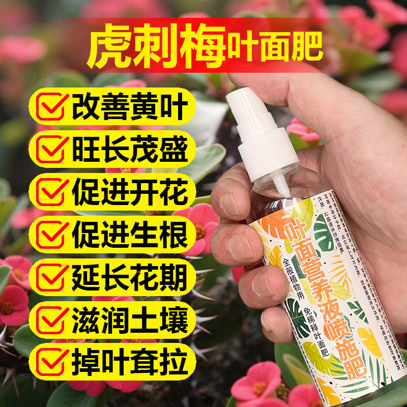 虎刺梅专用肥料盆景植物营养液铁海棠盆栽叶子卷变黄枯萎掉落肥料