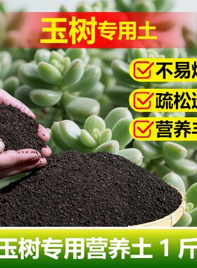 玉树专用土料有机肥老桩多肉盆栽营养土长根旺长翠绿开花种植家用