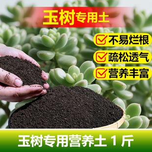 玉树专用土料有机肥老桩多肉盆栽营养土长根旺长翠绿开花种植家用