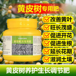 黄皮树专用肥料盆栽种植黄皮果树苗营养液叶面肥颗粒浓缩有机肥料